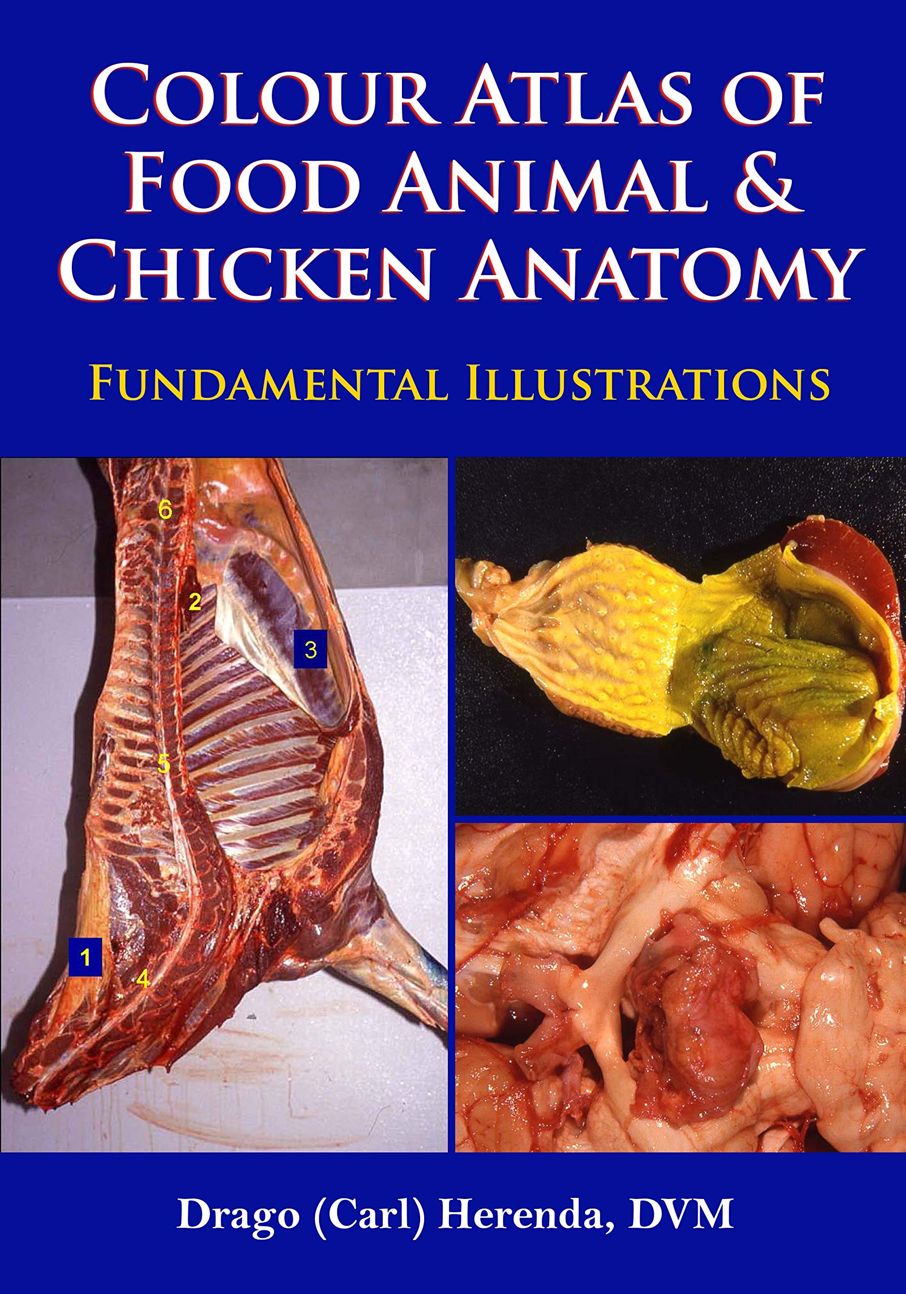 Amazon.com: Dr. Drago Herenda: books, biography, latest update